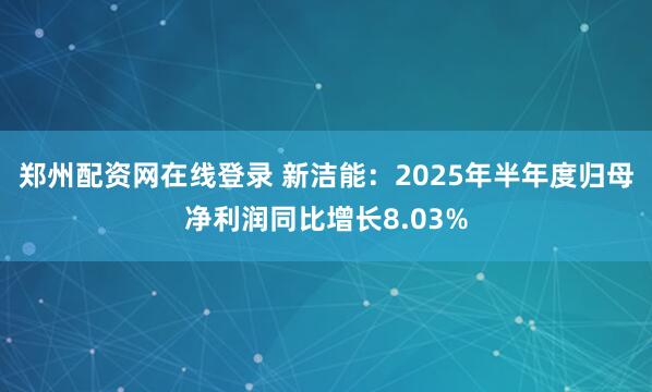郑州配资网在线登录 新洁能：2025年半年度归母净利润同比增长8.03%